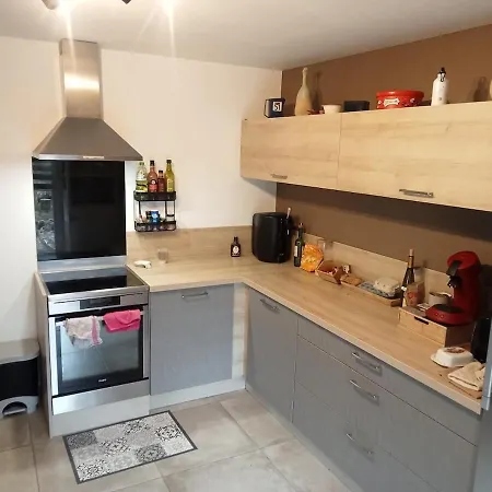 Large For Family Or Friends Holiday home Saint-Pierre-Eynac